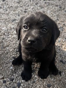 生後1ヶ月を過ぎました